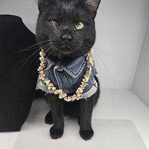 Elegant Twisted Shell Necklace